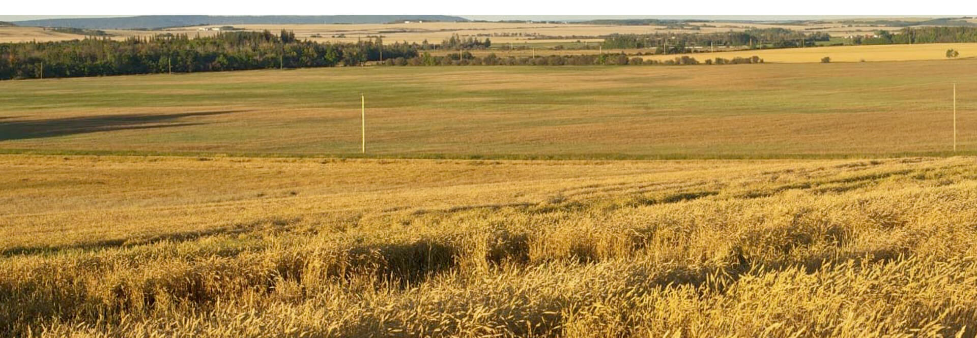 Applications and Notice Process Provincial Agricultural Land Commission